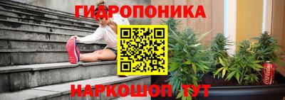 тгк Владимир