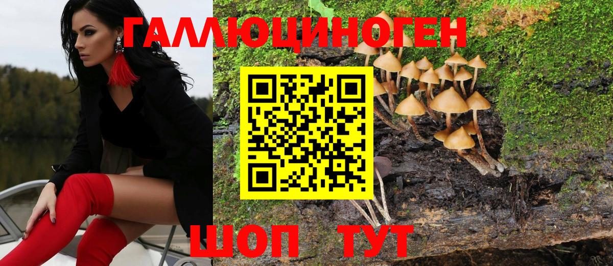 Псилоцибиновые грибы мухоморы Одинцово