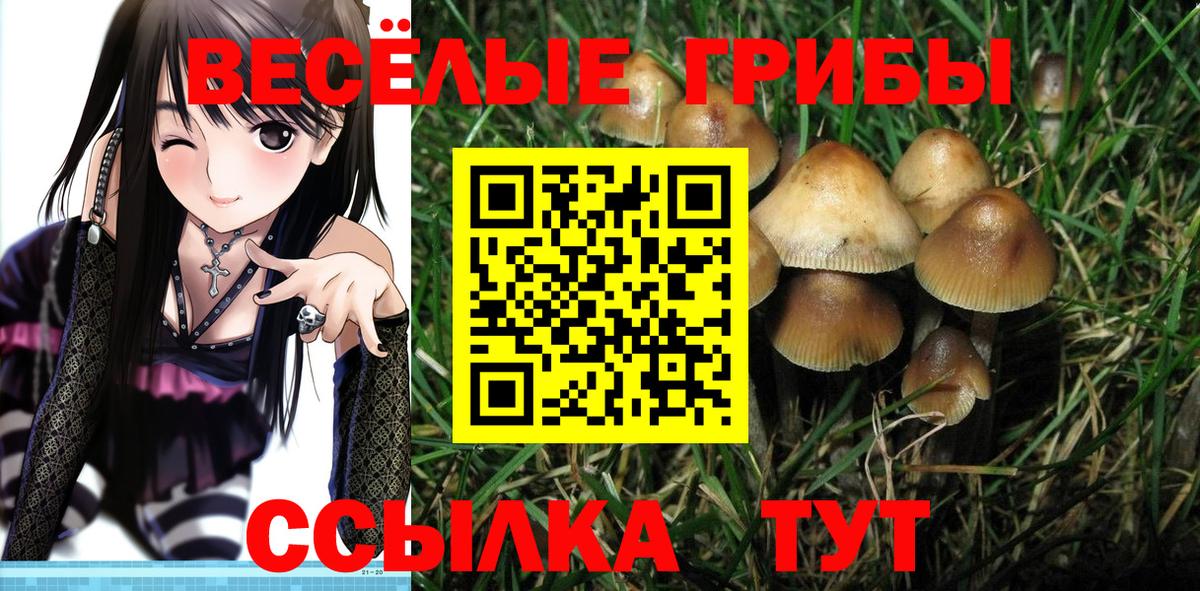 Одинцово  Галлюциногенные грибы Cubensis  Вход с VPN  Галлюциногенные грибы мухоморы 